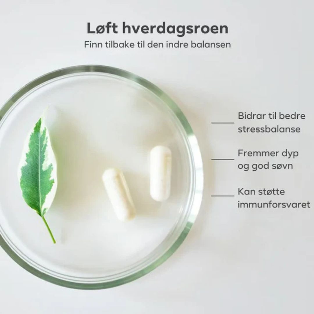 Magnesium Breakthrough – 7 former for magnesium (60 kapsler)
