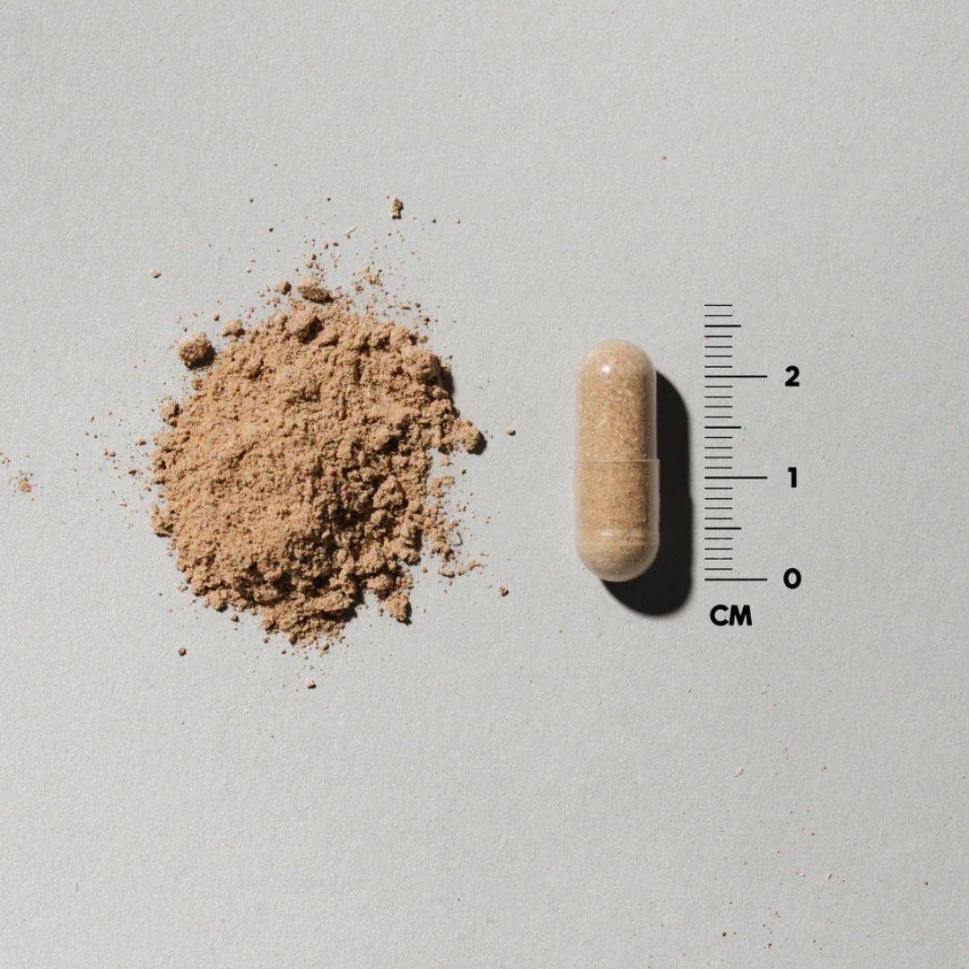 DENSE Beef Liver - 180 kapsler – Ren lever, ingenting annet